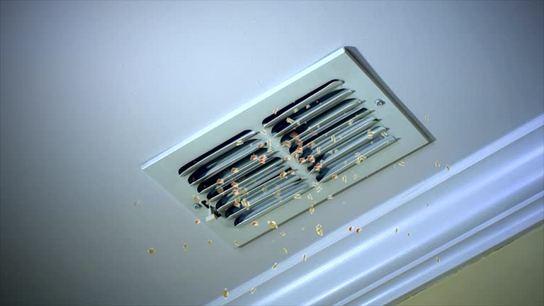 Best Professional Duct Cleaning Services  in Wayne, PA