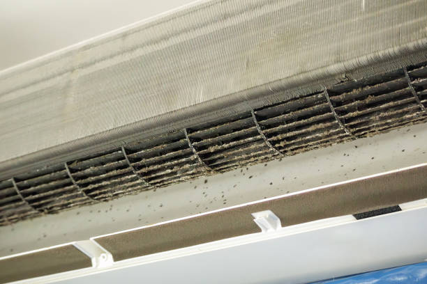 Air Duct Mold Removal in Wayne, PA