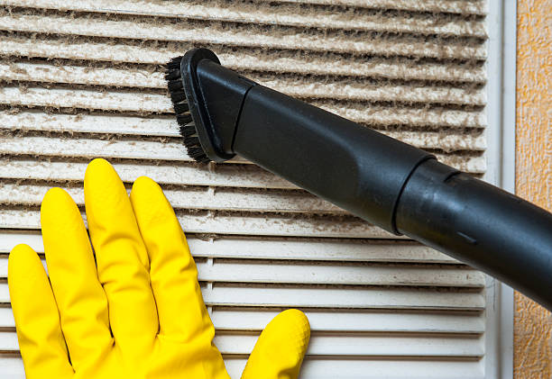 Best Air Duct Mold Removal  in Wayne, PA